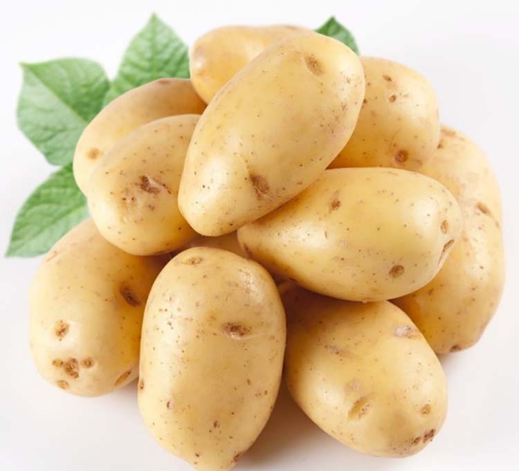 優質土豆批發銷售